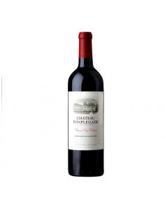 Chateau FONPLEGADE, Saint...